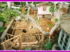 Remodel and addition footings