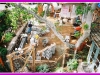 Remodel and addition foundation progress