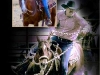 horse show