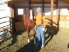 my-best-horse-again