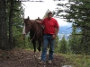 my-best-horse